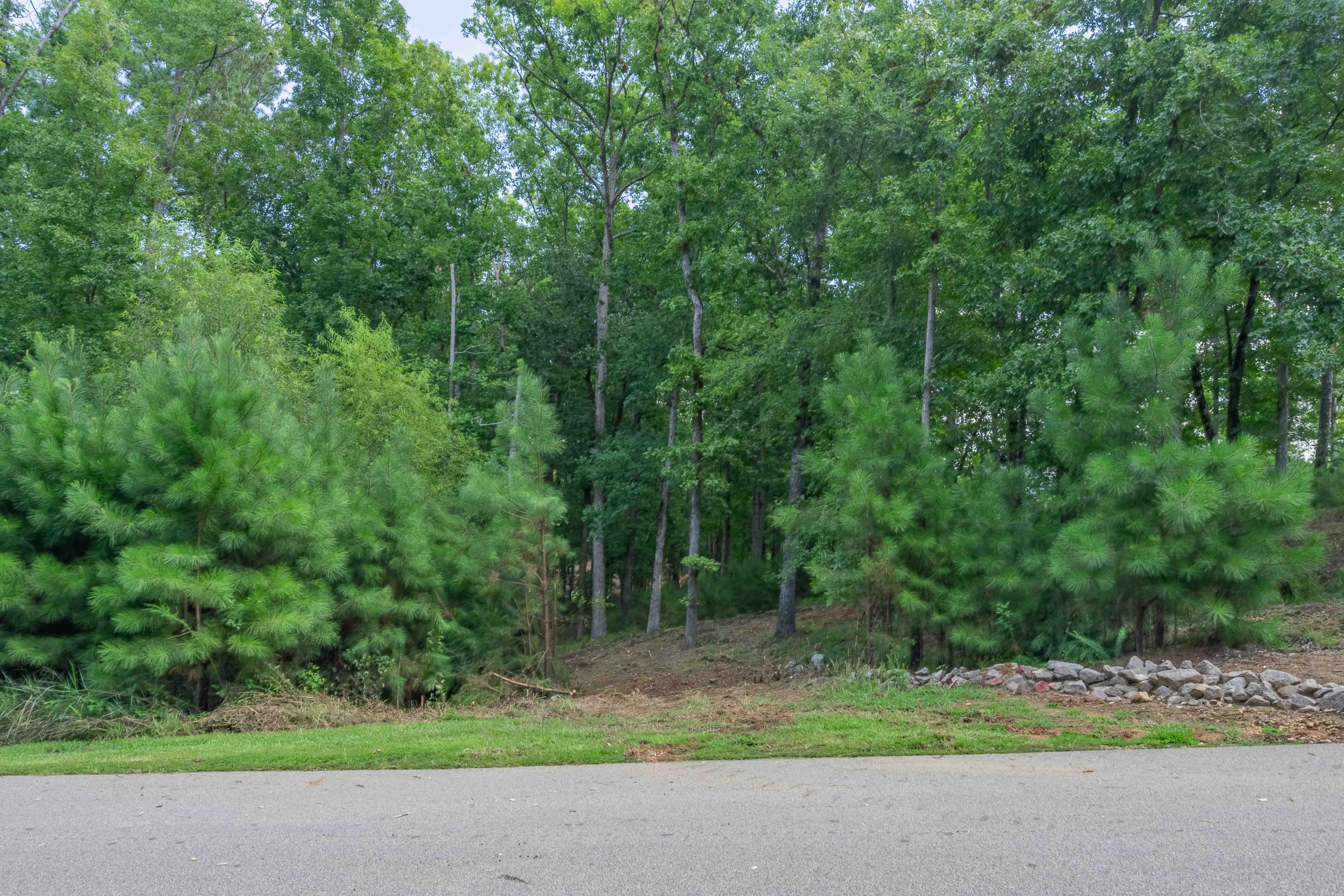 1090 Lumbering Creek image 4
